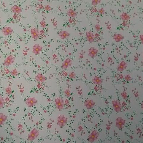 Το Ral 2169 Z60 90ga χρωμάτισε προ το ντυμένο φύλλο χρώματος φύλλων χάλυβα ΓΠ 3